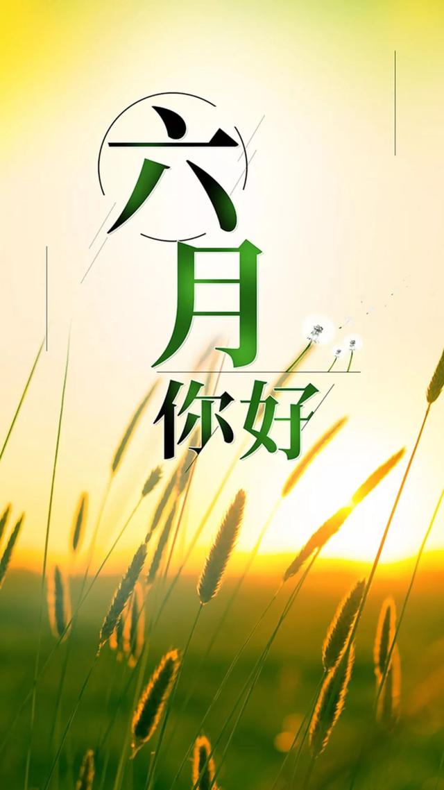 6月你好的美图大全,六月你好的图片集锦