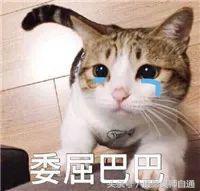 网红直播架便携，便携一体式自拍杆三脚架#直播支架