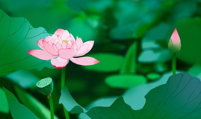 晚安美文180601：知命者不怨天；知己者不怨人