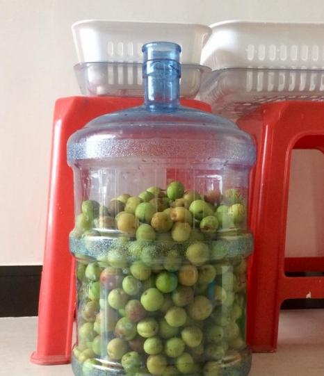 如何用梅子做酵素，教你做好喝的梅子酵素