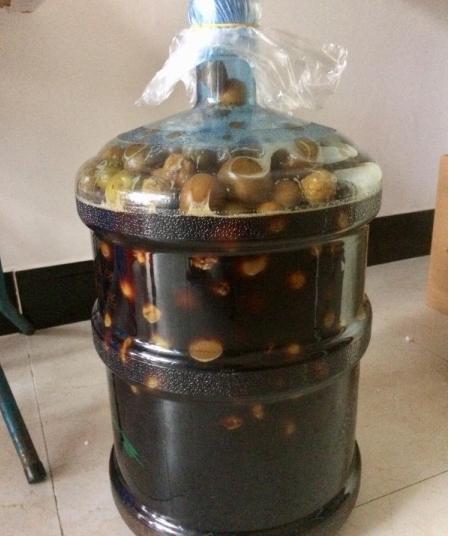 如何用梅子做酵素，教你做好喝的梅子酵素