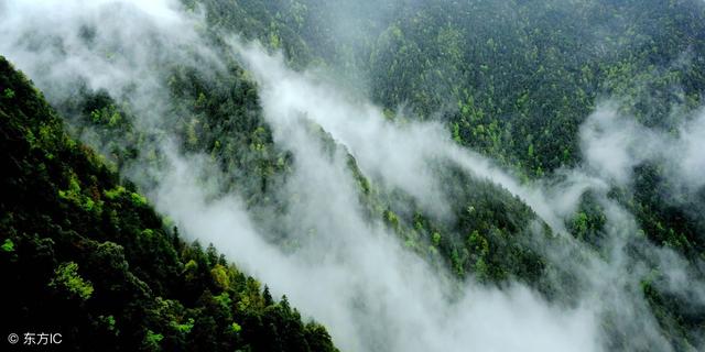 井冈山红色旅游风景区，红色摇篮井冈山