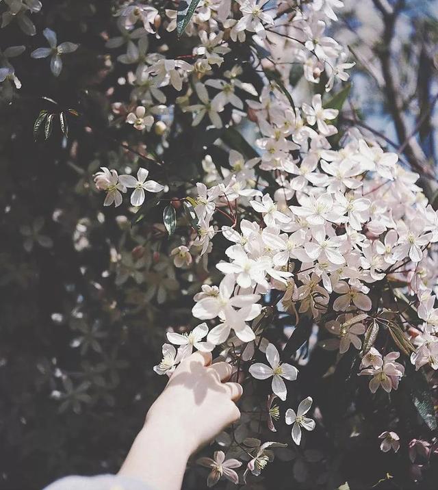 晚安简短一句话180602：一生败在太要脸，爱钱爱得不明显