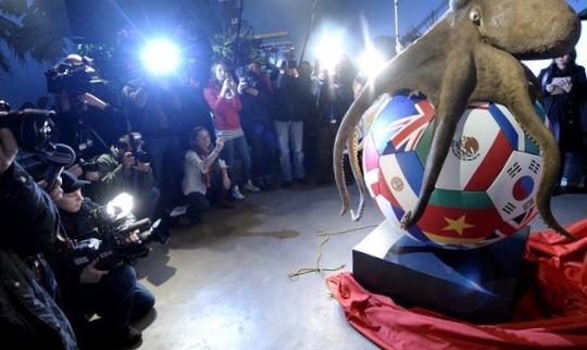 懂球帝预测世界杯之路，专家齐预测西班牙