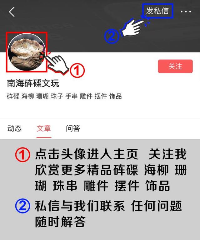 比金丝楠木还价值不菲的海中神木究竟为什么如此火爆，石楠木为什么贵