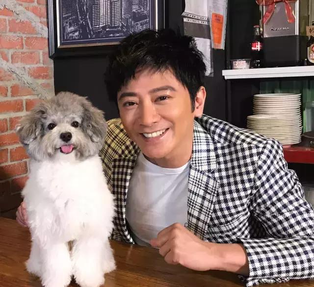 乌龙闯情关最后两集，《乌龙闯情关》结局令人意难平