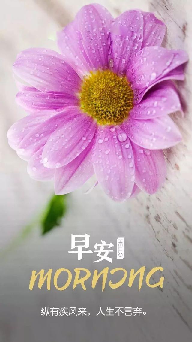 早安励志日签180605：不为昨天叹息，只为今天更美好