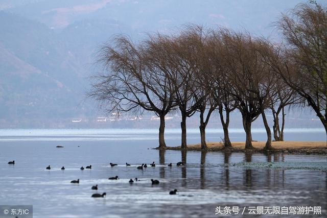 四川第一大淡水湖，四川十大淡水湖在哪里