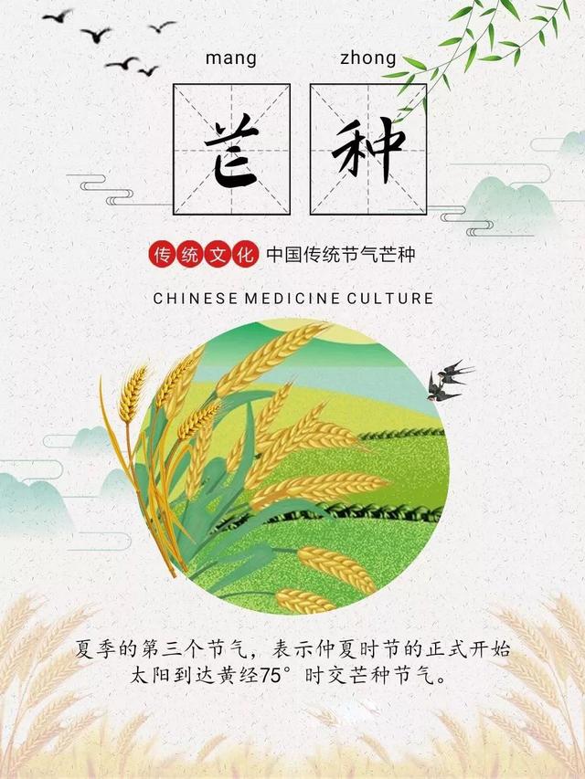 关于芒种的精美图片大全集锦，芒种的问候句子