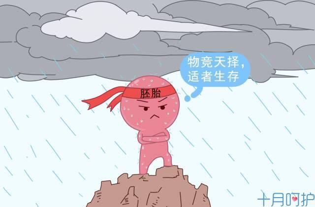 成功受孕后都有哪些反应，你的身体会有这几种感觉