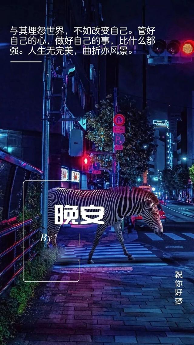 晚安心语180608：失望积累得多了会堵住心口挡住阳光