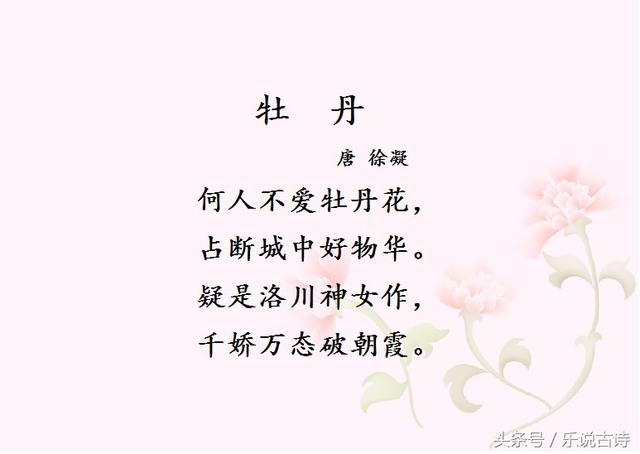 何人不爱牡丹花，何人不爱牡丹花（千里冰雪待春来）