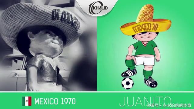 预测世界杯的动物有哪些，熊猫真是本届世界杯的大预言家