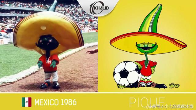 预测世界杯的动物有哪些，熊猫真是本届世界杯的大预言家