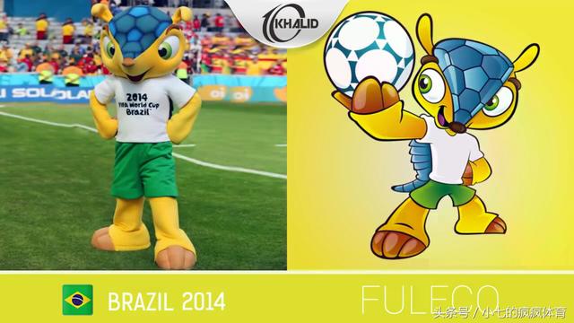 预测世界杯的动物有哪些，熊猫真是本届世界杯的大预言家