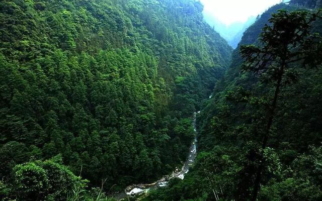 大重庆避暑胜地亲子游，人少景美还能遇见湖泊花海