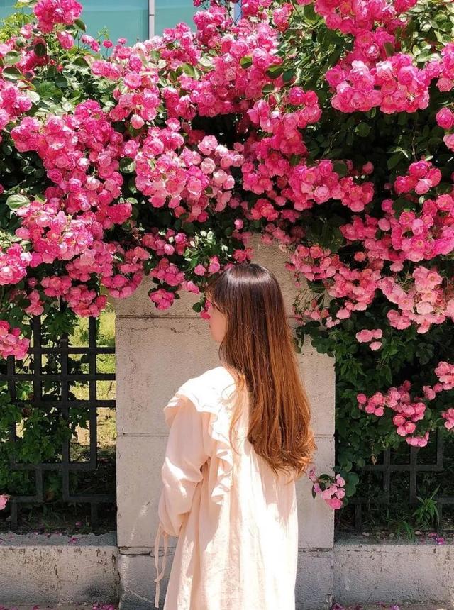 晚安句子180609：再见容易，再见很难