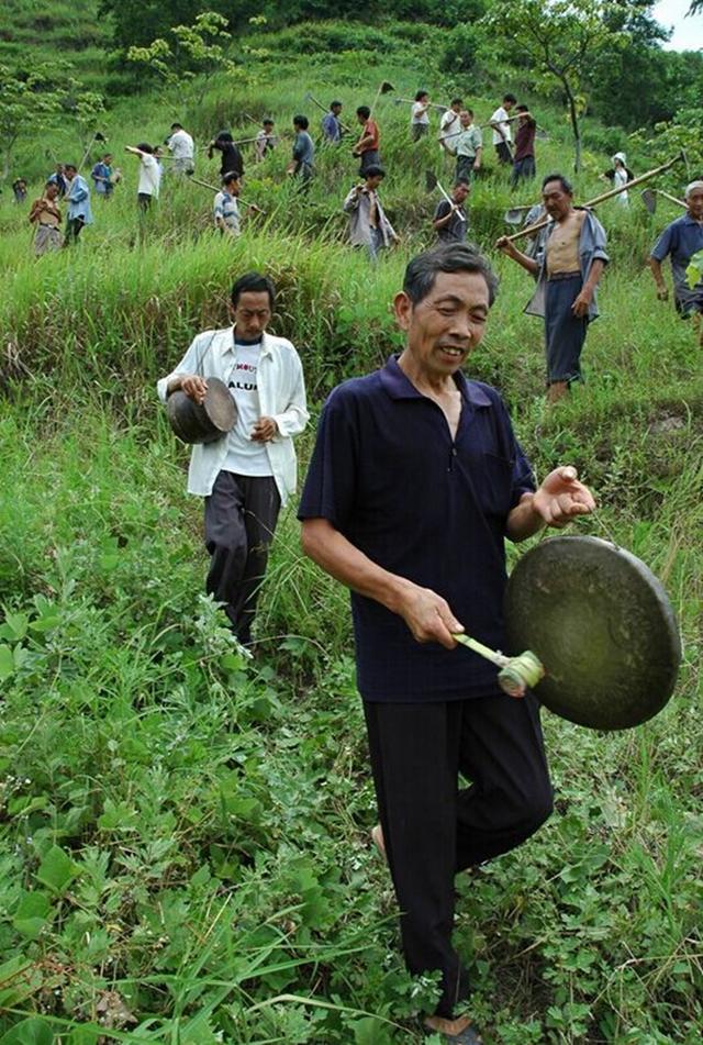 正宗地道的民间锣鼓，中国一绝，南留锣鼓