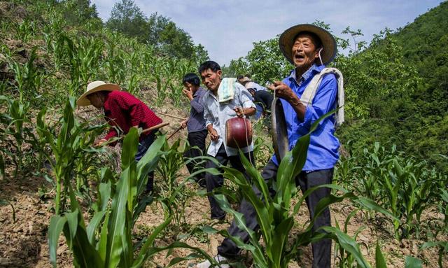 正宗地道的民间锣鼓，中国一绝，南留锣鼓