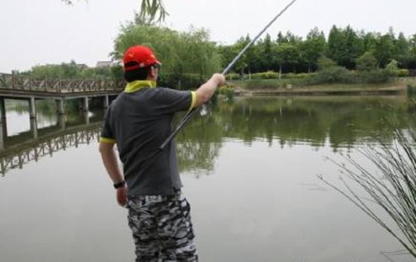 如何野钓大鲫鱼，钓大鲫鱼的技巧和方法（大鲫鱼这样钓太过瘾了）