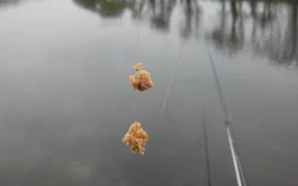 如何野钓大鲫鱼，钓大鲫鱼的技巧和方法（大鲫鱼这样钓太过瘾了）