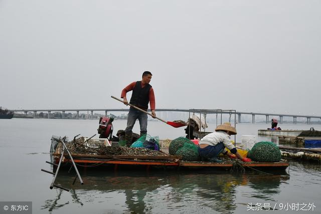 湛江11月旅游的最佳地方，广东湛江最受游客喜爱的五大景点