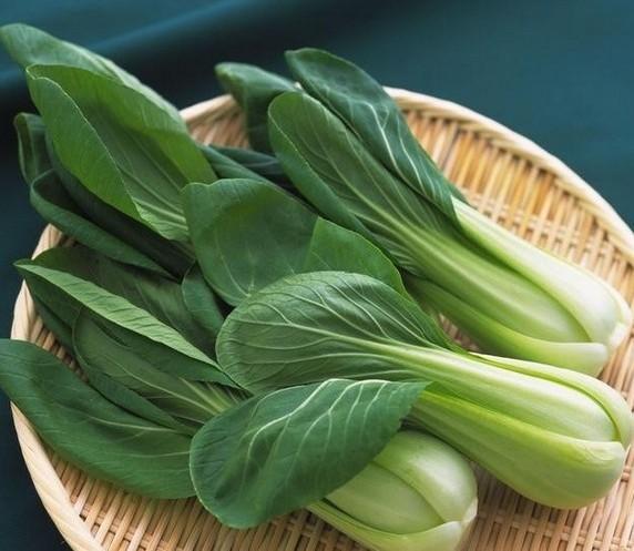 十字花科的6个代表植物，十字花科植物介绍