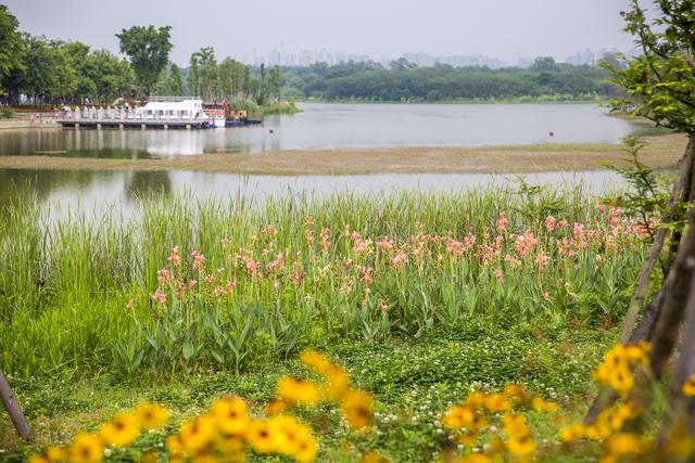离我最近的公园，离我们这最近的湿地公园