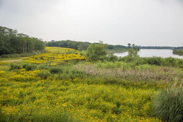 离我最近的公园，离我们这最近的湿地公园