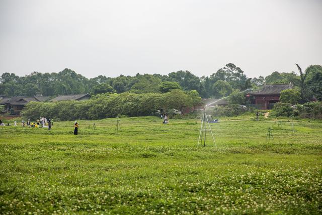 离我最近的公园，离我们这最近的湿地公园