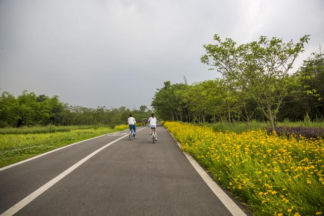 离我最近的公园，离我们这最近的湿地公园