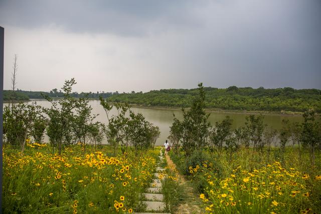 离我最近的公园，离我们这最近的湿地公园