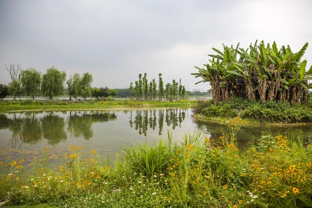 离我最近的公园，离我们这最近的湿地公园