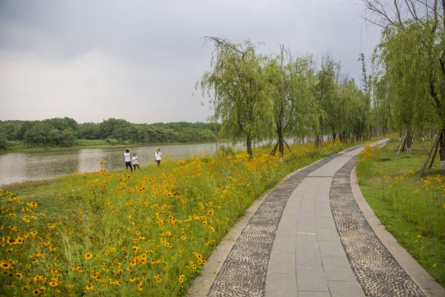 离我最近的公园，离我们这最近的湿地公园