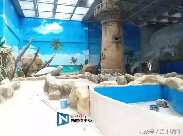 福建海洋馆有几个，福州全球最大规模室内海洋馆即将开门迎客