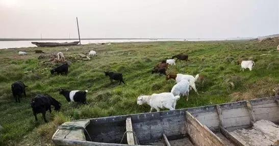 益阳土地使用计划图，益阳安化、桃江、南县50镇人口、土地、工业最新统计