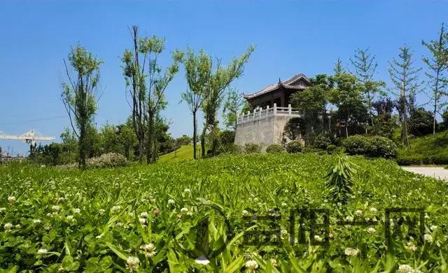 益阳土地使用计划图，益阳安化、桃江、南县50镇人口、土地、工业最新统计