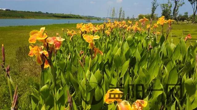 益阳土地使用计划图，益阳安化、桃江、南县50镇人口、土地、工业最新统计