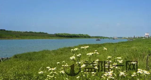 益阳土地使用计划图，益阳安化、桃江、南县50镇人口、土地、工业最新统计