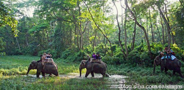 尼泊尔佛教的三大寺庙，高山王国千佛之国