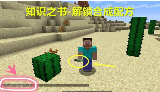 我的世界特殊方块，我的世界五大指令获得方块（我的世界1.19古城灵魂的秘密）