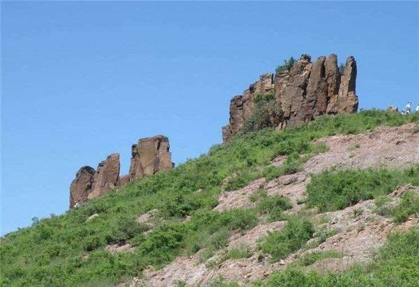 历史上真实的降龙树，降龙木在历史上神龙见首不见尾