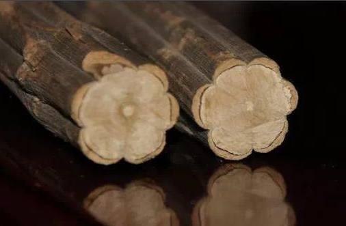 历史上真实的降龙树，降龙木在历史上神龙见首不见尾