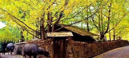 腾冲有什么好玩的，腾冲有什么好玩的旅游景点