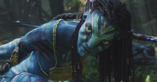 阿凡达主演真实名字，阿凡达票房反超复仇者联盟4