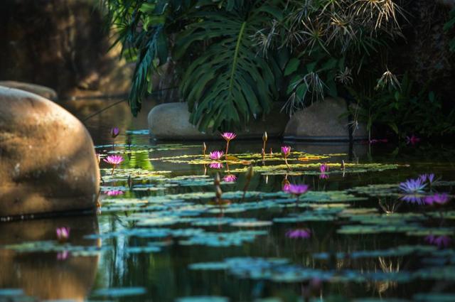 西虹市首富拍摄地，西虹市首富最壕取景地（西虹市首富取景城市）
