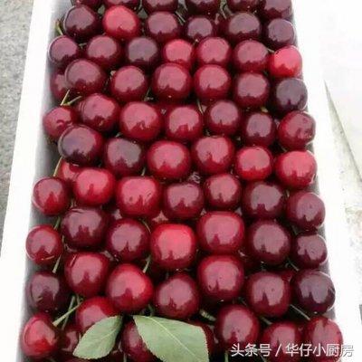 山东淄博十大特产，淄博有哪些特产小吃