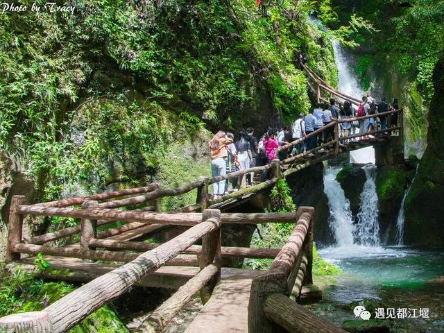 四川青城山旅行指南，青城山的前山和后山哪个值得去