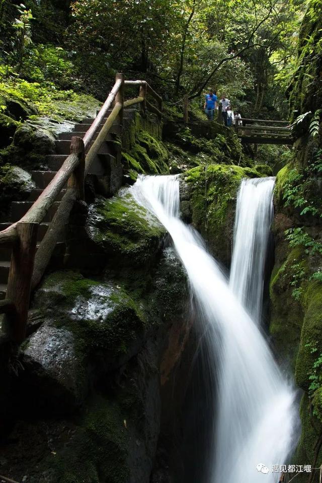 四川青城山旅行指南，青城山的前山和后山哪个值得去