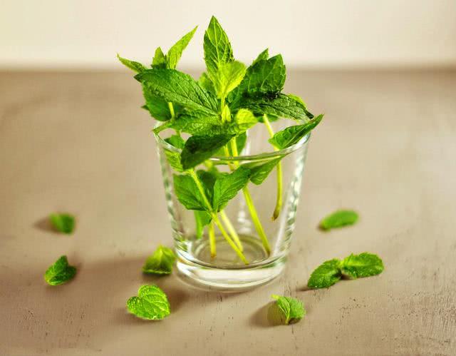 头皮螨虫的症状，头皮螨虫的症状有哪些